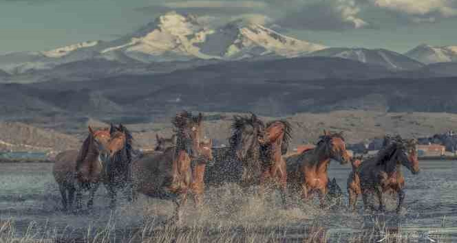 Hürmetçi Sazlığı Türkiye’nin bildiği tanıdığı bir alan olacak