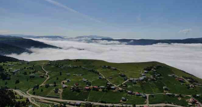 Trabzon’un yaylalarından eşsiz bulut denizi manzaraları