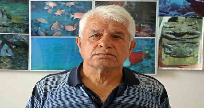 Mısır’da Rus turisti öldüren köpek balığı için profesörden ürperten yorum: "İlk vakası olmayabilir"