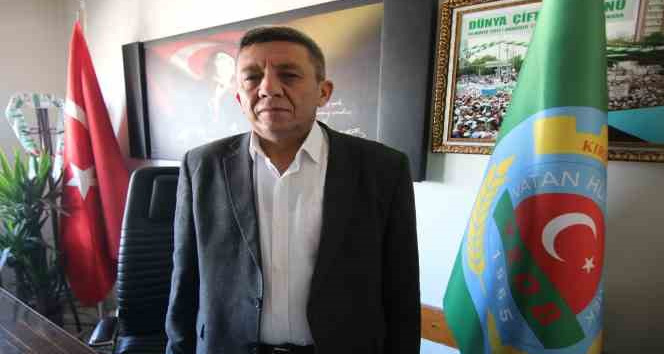 Kırşehir’de yağışlar ormanlık alanları yeşillendirdi, tarım arazilerine zarar verdi