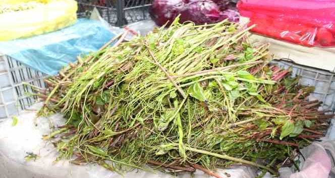 Kırçan otu pazara indi
