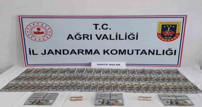 Ağrı’da Jandarmadan sahte dolar operasyonu