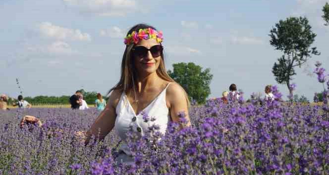 Edirne’de ’Lavanta Tarla Günleri’ renkli görüntülerle başladı