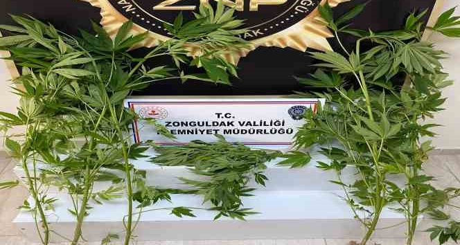 Zonguldak’ta uyuşturucu operasyonu
