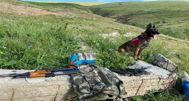Bitlis merkezli silah kaçakçılığı operasyonu