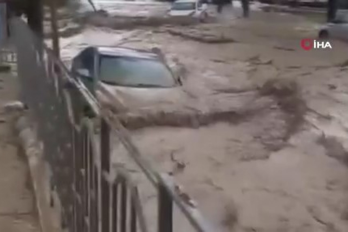 Gürcistan’da şiddetli yağış: Evleri ve bahçeleri sular bastı, araçlar hasar gördü