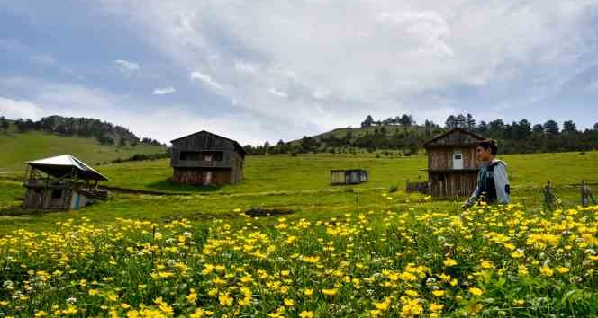 Altınpınar Gölüne ziyaretçi akını