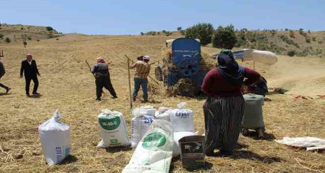 Devlet desteğiyle atıl durumdaki arazi tarıma kazandırıldı