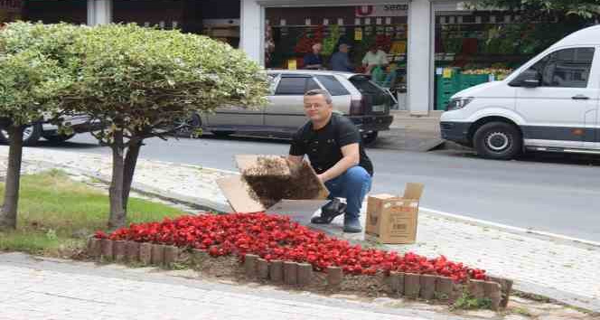 Oğul arılar tedirgin etti
