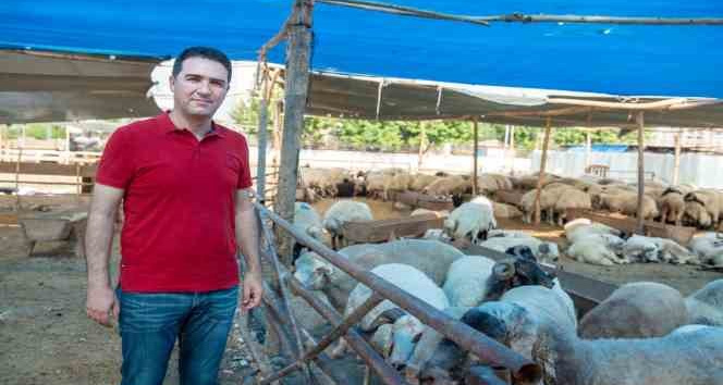 Seyhan’da kurban satış ve kesim yerleri belirlendi