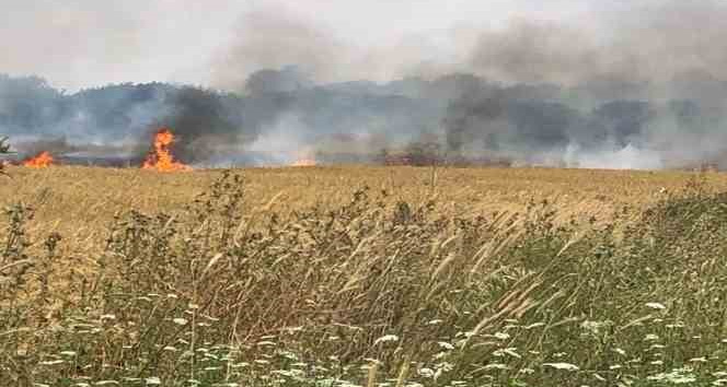 Çanakkale’de 45 dönüm tarım arazisi yanarak kül oldu
