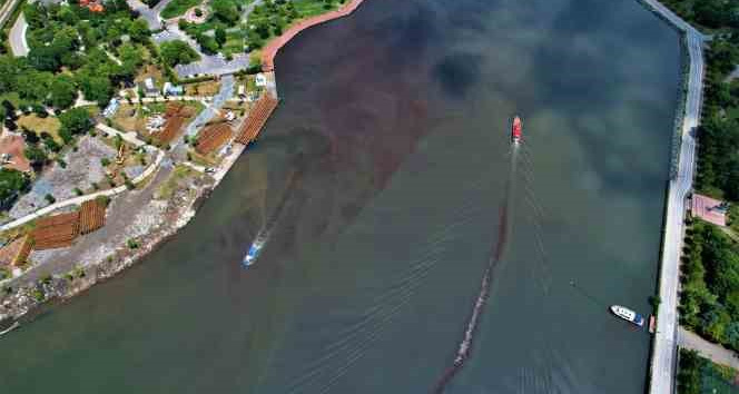 Haliç’te korkutan görüntü