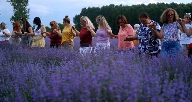 Onlarca kişi aynı anda lavanta tarlasında halay çekti, oyun oynadı