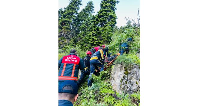 Uçuruma yuvarlanan kamyonet sürücüsü hayatını kaybetti