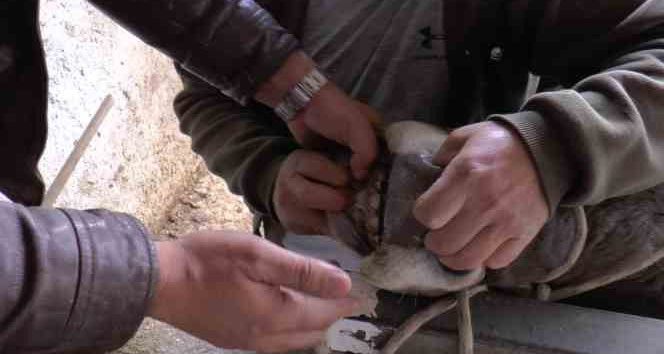 Küpeyi bırak dişe bak