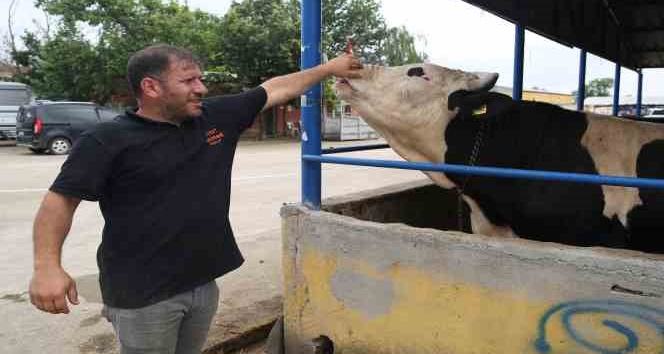 Nilüfer’de kurban kesim alanları belirlendi