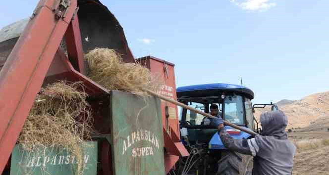 Siirt'te Devam Eden Hasat Sezonunda Tarım Aletlerine Rağbeti Artırdı - Siirt