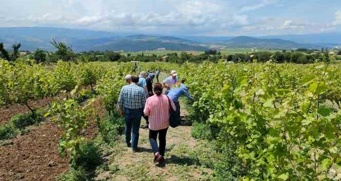 Akademisyenler bağ üreticileri ile buluştu