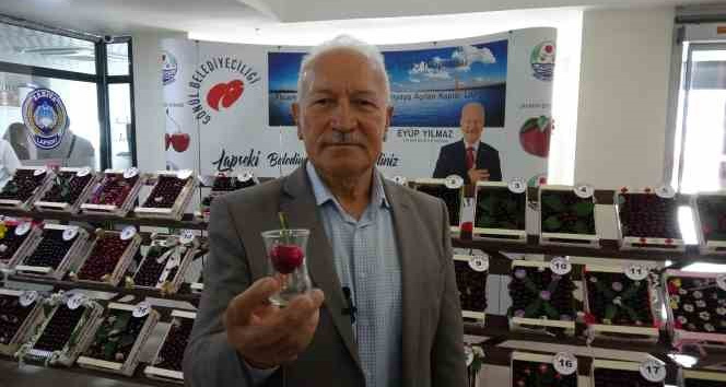 Lapseki’nin bardağa sığmayan şampiyon kirazı belli oldu