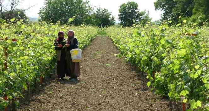 450 liradan satılmasına rağmen taleplere yetişemiyorlar