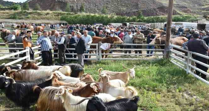 Hayvan pazarında kurbanlıklar görücüye çıktı