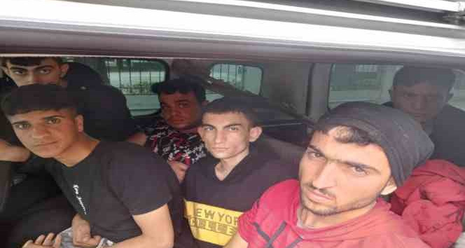 Kırklareli’nde kaçak göçmen operasyonu: 2 sürücü yakalandı