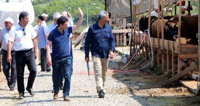 Yalova Belediyesi’nden bayram öncesi mezarlıklarda çalışma