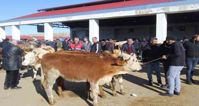 Bayburt’ta Kurban Bayramı heyecanı