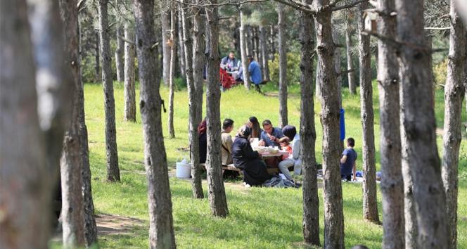 İstanbulda orman yangınlarına karşı önlem: Girişler yasaklandı