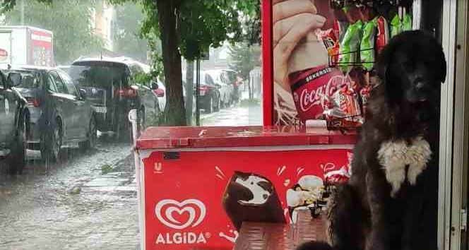 Ardahan’da etkili olan sağanak, hayatı olumsuz etkiliyor