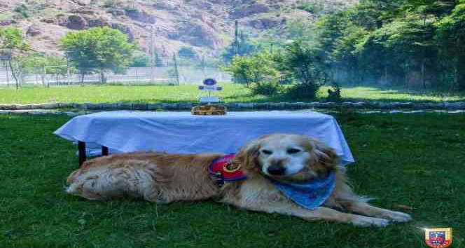 Uyuşturucu arama köpeği ‘Altın’ pasta kesilerek emekli edildi