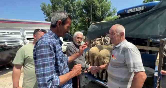 Bayrama sayılı günler kala kurban pazarlarında hareketlilik