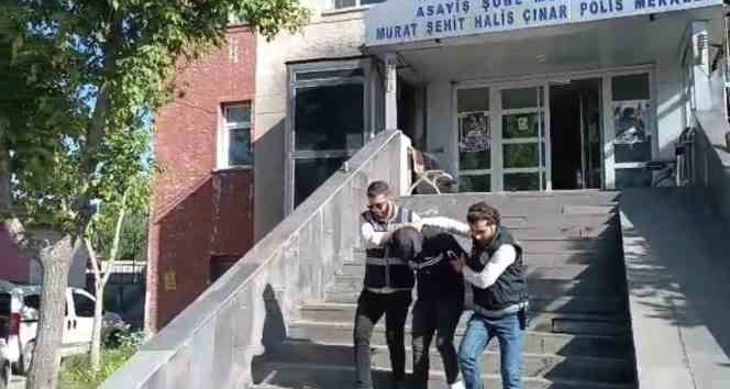 Ağrı’da oto faresi yakalandı