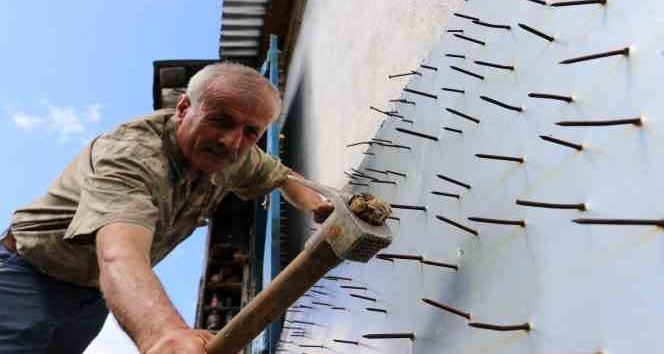 Gümüşhane’de ayı tehdidine Karadeniz usulü çözüm