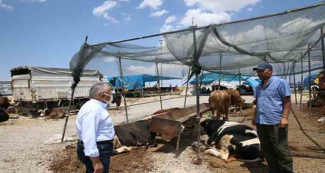 Büyükşehir kurban satış ve kesim yerlerinde tüm tedbirleri aldı