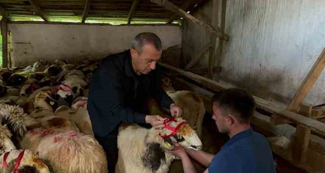 Vali Sonel, Kurban Bayramı’nda yetim ve öksüzleri unutmadı