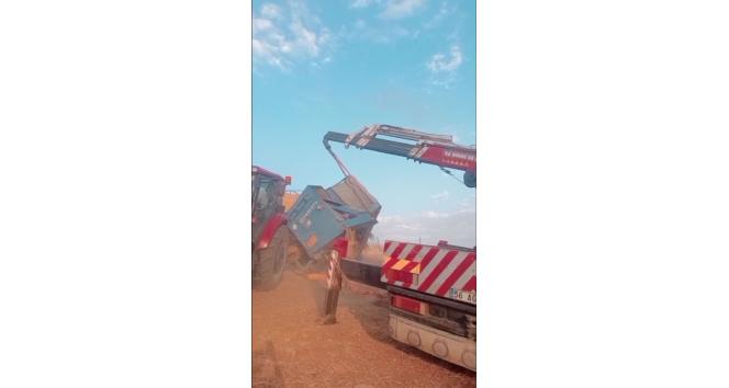 Siirt’te römork devrildi, buğday tarlaya savruldu