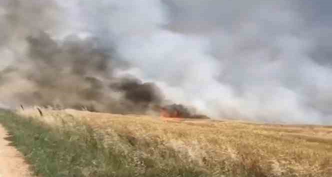 Kırklareli’de 90 dönümlük buğday tarlası küle döndü