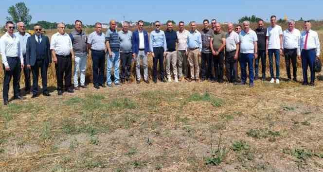 Babaeski’de tarla günü