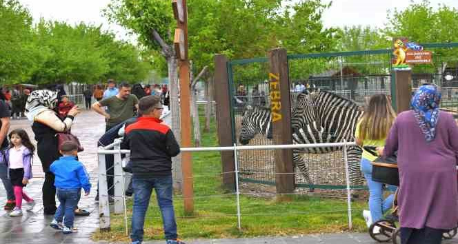 Büyükşehir Hayvanat Bahçesi Kurban Bayramı’nda ücretsiz