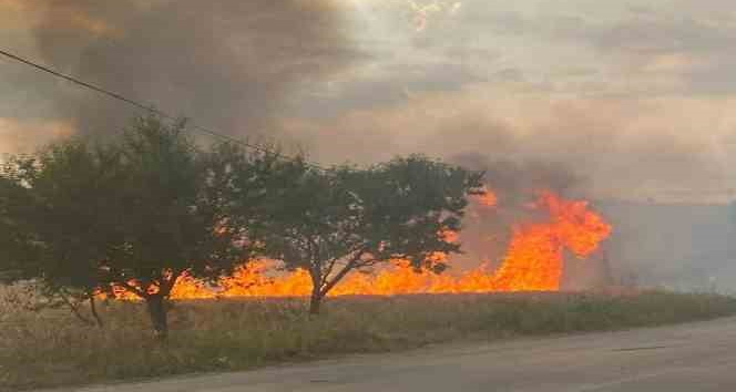 Buğday tarlasında çıkan yangın imece usulüyle zor söndürüldü