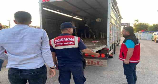 Aksaray’da sivil jandarmalar kurban teyakkuzunda