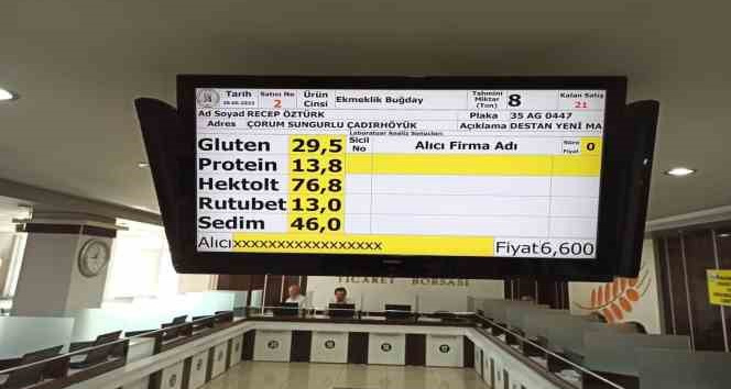 Sungurlu’da ilk buğday borsaya geldi