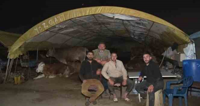 Ankara’da kurban pazarlarında gece zor geçiyor