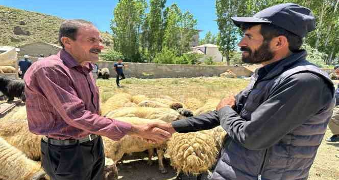 Yüksekova’da kurbanlık satışları devam ediyor