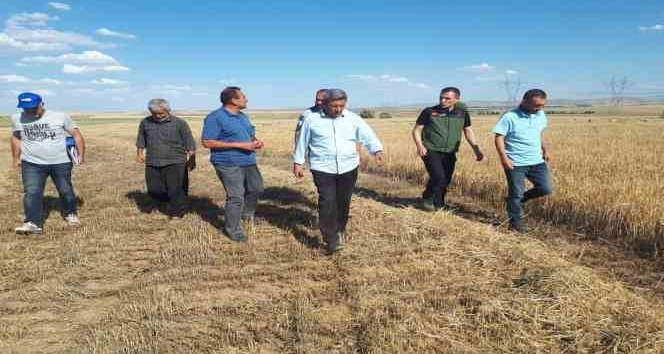 Kırşehir’de ilk tarımsal ürün hasadı yapıldı