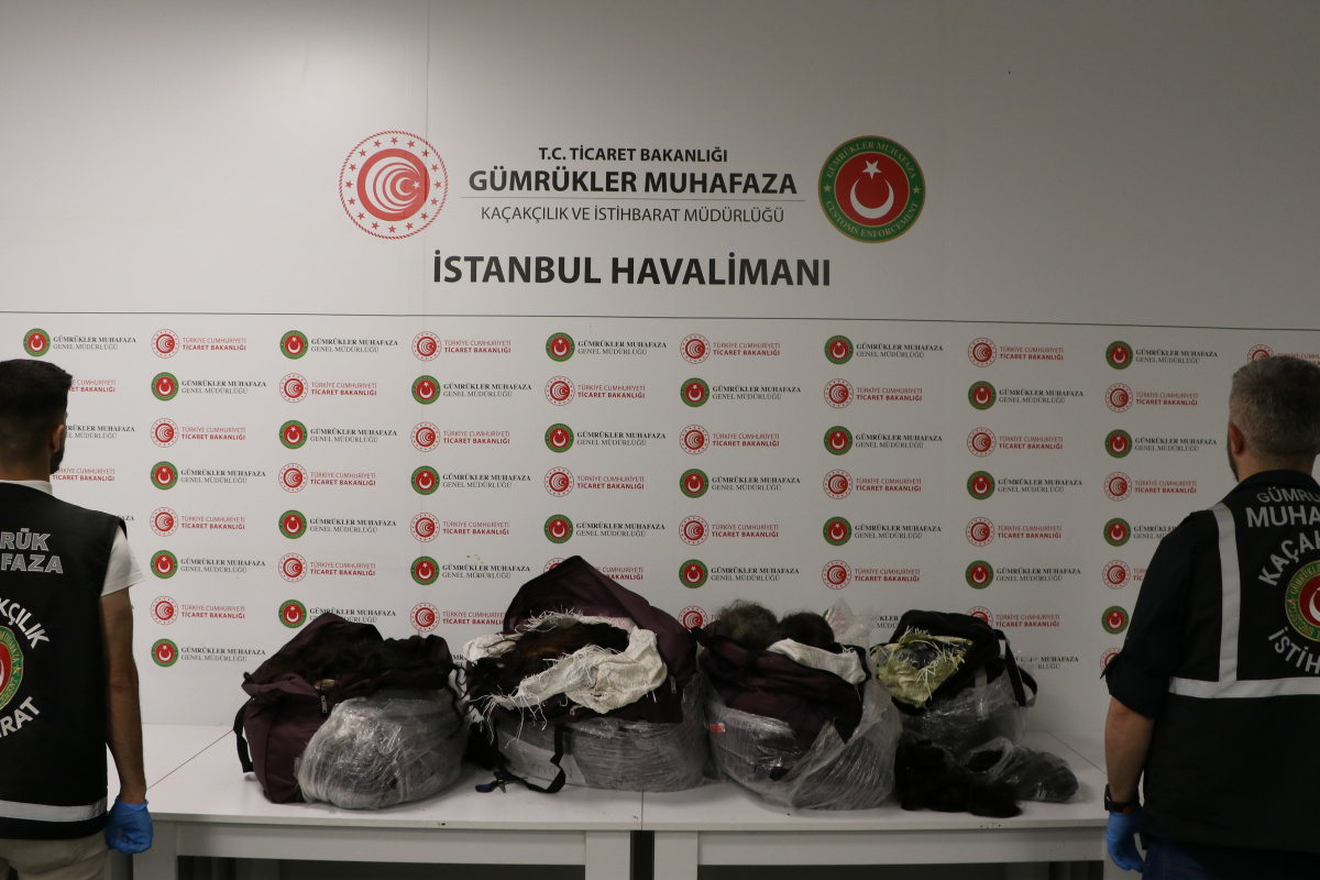 İstanbul Havalimanı’nda 93 kilo insan saçı ele geçirildi