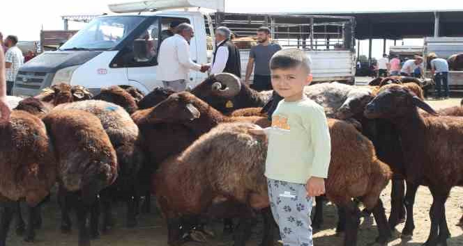 Iğdır’da Kurban Bayramı’na saatler kala kurbanlık satışı devam ediyor