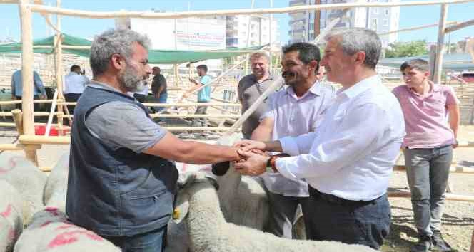 Şahinbey’de kurban satış ve kesim yerleri belirlendi