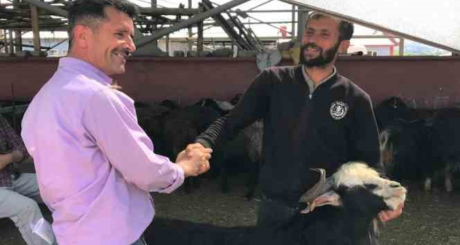 Bingöl’de kurbanlıklar için kol koparan pazarlıklar sürüyor